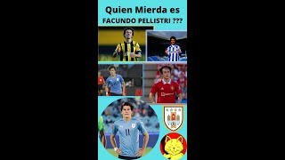 QUIEN MRDA ES FACUNDO PELLISTRI  🇺🇾 [upl. by Faust449]