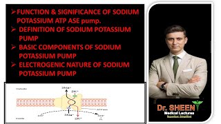 DISCUSS FUNCTION amp SIGNIFICANCE OF SODIUM POTASSIUM PUMP CH4 LEC  13 [upl. by Critta]