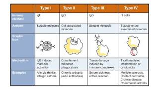 Reacciones de Hipersensibilidad Tipos [upl. by Arahs503]