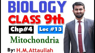 Mitochondria  Chapter 4  9th class Biology  Lec13 [upl. by Adnarem]