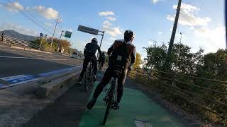 GIANT TCR ADVANCED 2 KOM で行く GSCCライド『しまなみ海道ですよ』④ [upl. by Adyht956]