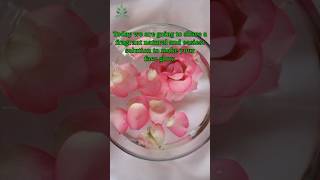 Say Goodbye to Dull Skin Rose Water for Brightening rosewater selfcare trendingnow lifestyle [upl. by Rimisac]