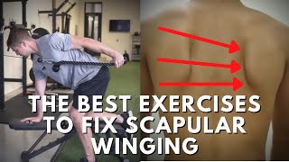 Effective Exercises To Fix Scapular Winging  Targeting The Weak Muscles [upl. by Midian]