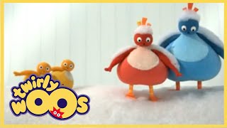 Twirlywoos  More About Covering  Shows for Kids [upl. by Sirrah700]