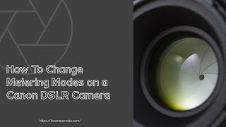 How to Change Metering Modes on a Canon DSLR Camera [upl. by Tichonn]