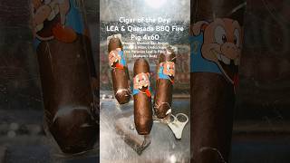 LCA amp Quesada BBQ Fire Pig 4x60 CigarOfTheDay Short Cigars Shorts Cigar SNTB BBQPig [upl. by Anonyw]