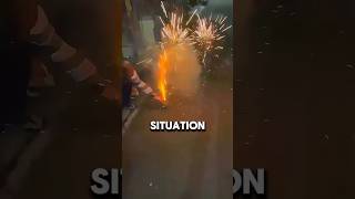 Dog bravely plays with fireworks animals viral funny [upl. by Iny103]