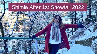 Heavy Snowfall In Shimla 🌨  1st One From My Home 🏡  Winter In Shimla  DesiGirl Traveller Vlog [upl. by Ynohtna484]