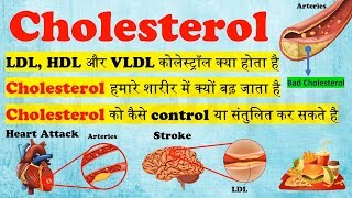 Cholesterol  LDL HDL और VLDL कोलेस्ट्रॉल क्या होता है  cholesterol kam karne ke upay [upl. by Airetnuhs890]