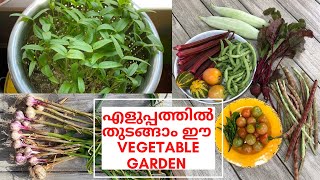 എളുപ്പത്തിൽ തുടങ്ങാം ഈ Vegetable Garden  How to Start a Vegetable Garden for Beginners in Malayalam [upl. by Nehgaem]