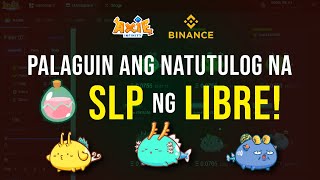 Paano Palaguin ang Natutulog Nating SLP gamit ang Binance  Tutorial [upl. by Klein]