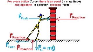 Physics 4 Newtons Laws of Motion 3 of 20 What is Newtons Third Law [upl. by Baugh174]