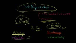 Sole Proprietorships  Advantages and Disadvantages [upl. by Kcinimod]