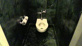 Bathroom Tour American Standard Toilet and Urinal Ritz Carlton Hotel Clayton MO [upl. by Irret851]