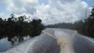 Boat pirogue ride african jungle Gabon 🇬🇦 [upl. by Vasiliu]