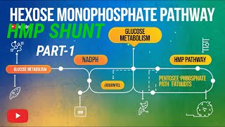 Hexose Monophosphate Pathway HMP PART1 Explained in Telugu Tejaswilectures [upl. by Alyks]