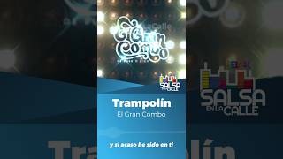 Trampolín  El Gran Combo [upl. by Hayikat]