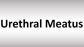 How to Pronounce Urethral Meatus [upl. by Ayrad]