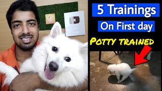 5 trainings on first day Must watch new pet parents 100 working ✌️🔥 [upl. by Bobbette]