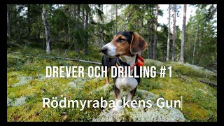 Drever och drilling 1 [upl. by Etnwahs]