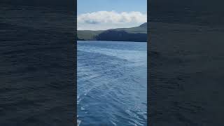 Jellyfish and the view in Akutan AK in the Aleutians aleutians travel akutan nature [upl. by Uaeb]