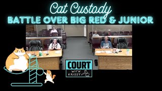 Crazy Divorce Cat Custody Battle Ex Tried To Off A Cat amp Kitties Have A New Papa The Old Roomie [upl. by Diamond]