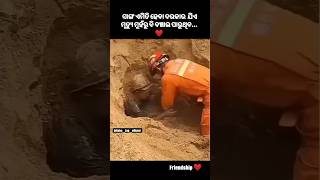 To Bhitare Mun 😂 Odia Song  Status  Odia Short Video status viral shorts viralshorts [upl. by Phyllys562]