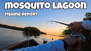 Fishing Report 3 Mosquito Lagoon great day [upl. by Mandal]