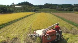 栃木農人第3回：稲刈りA Day of Japanese Rice Farmers Vol3  Rice reaping [upl. by Lyram]