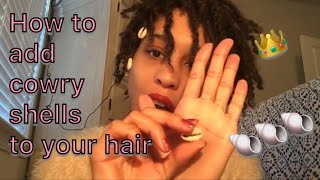 How To Put A Cowry Shell In Locs [upl. by Cher]