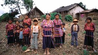 Protecting the rights and wellbeing of indigenous peoples [upl. by Severen]