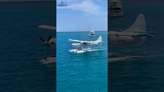 Beach Vibes DEHAVILLAND DHC3 SINGLE OTTEREnginePampW CANADA PT6A34 Horsepower 750 aviation [upl. by Baggott236]