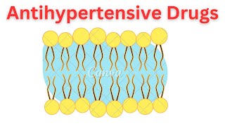 antihypertensive drugs [upl. by Hael]