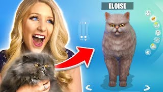 Making My Cat A Sims Account Funny Sims 4 Challenge [upl. by Applegate]