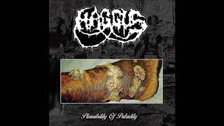 Haggus  Plausibility Of Putridity LP 2018 Full Album HQ GoregrindMincecore [upl. by Llenhoj779]