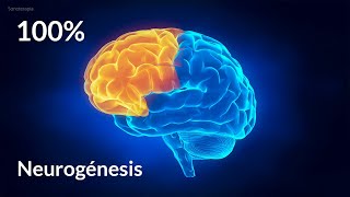 Musica para Generar Nuevas Neuronas  Neurogenesis  Activa el Poder de la Mente al 100 [upl. by Fulvi]