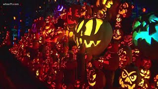 Jack OLantern Spectacular returns to Iroquois Park [upl. by Oremar]