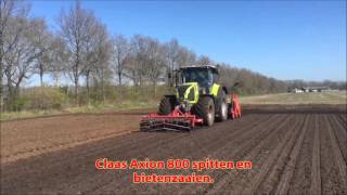 Claas Axion 800 bezig met bieten zaaien [upl. by Jamilla]