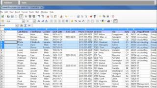 LibreOffice Base 03 Import Data from a Calc File [upl. by Ylicic]