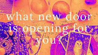 NEW DOORS OPENING FOR YOU What good things are next for you  ASMR Tarot [upl. by Hultin62]