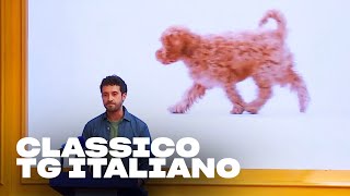 Il TG di EDOARDO FERRARIO  LOL Chi ride è fuori  S4 [upl. by Ardnaiek]