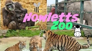 Howletts Zoo [upl. by Iruahs]