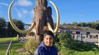 Howletts Wild Animal Park with JJ Vlogger [upl. by Petronia]