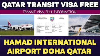 Doha Qatar Transit Visa Free  Transit Visa Hamad International Airport [upl. by Ehttam]