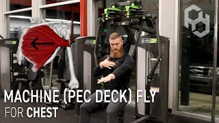 How to Seated Machine Pec Deck Chest Fly [upl. by Cranston549]