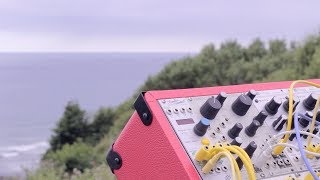 Eurorack Surrealism  Mangrove Whale Calls Cannon Beach OR [upl. by Yrtneg574]