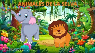 quot🦁🦒 Animales para Niños🐘🦓Vocabulario canciones de Animales Animales Salvajes para Niños 🐘🦓 [upl. by Leryt496]