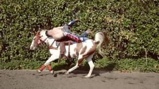 Horse and Hunk making of kalender 2017 Hein van den Brand [upl. by Ronnholm134]