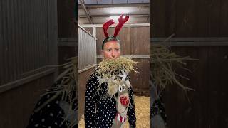 Pferdehofliebe  Schöne Feiertage 🎅🎄 pferdehofliebe froheweihnachten equestrian youtubeshorts [upl. by Adamok]