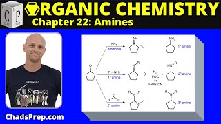 224e Synthesis of Amines Reductive Amination [upl. by Francyne]